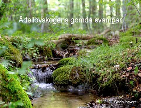 Bokpresentation: Text: Claes Ingvert Ädellövskogens gömda svampar Svampar är väldigt fascinerande. De kan ha mycket varierande former. Flera är väldigt färgrika och vackra.