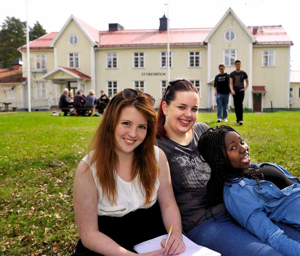 86 Kapitel 4 Mål för kulturverksamheterna inom kultursamverkansmodellen Mål för regional kulturverksamhet Kapitel 4 87 Möjligheter för Region Västernorrlands folkhögskolor Mötesplatser för kultur: