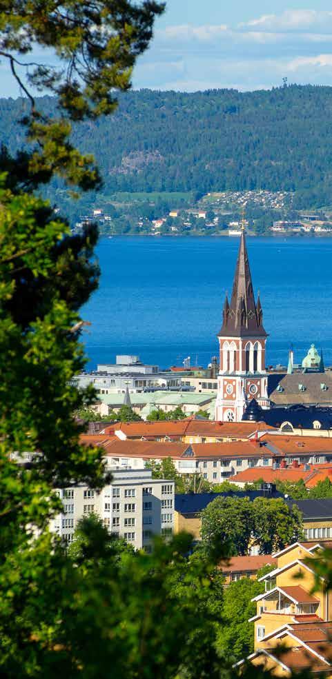 Genom förmedling av en engagerad coach där fick han småningom en kontakt med Tomas Bremell i Göteborg och adresser till Sveriges reumatologiska enheter för att komma igång på vägen mot svensk