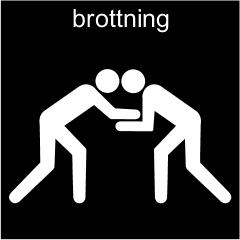 Brottarna har även speciell traditionsenlig frisyr (mage) bestående av en hårknut som är uppkammad på huvudet. Hur gör man sumobrottning?