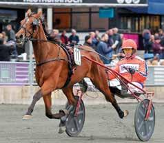 Meriter: Vinnare av Breeders Crown Treåriga H/V Semifinal 207, Margaretas Tidiga Unghästserie Fyraåringslopp 208,