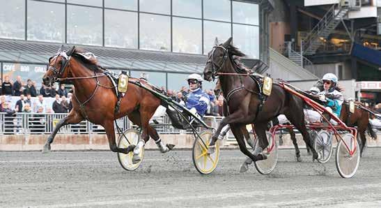 Defilering: 20:2 V52 TRIO TVILLING VINNARE PLATS SOLVALLA // 05 Berndt Lindstedts lopp Stolopp 240 M AUTOSTART åriga och äldre ston 00.00 400.000 kr. Körsvenskrav kat. 2. 240 m. Autostart. Pris: 00.