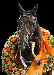 Buss ToR Solvalla, entré & program samt buffé i Valla Krog