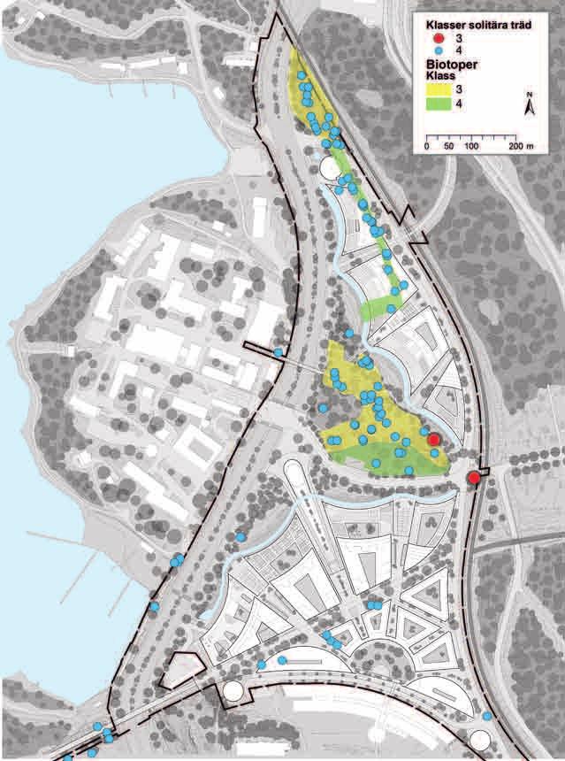 Figur 5.3.6 Konsekvenser för naturvärden i Albano av planen. Flera trädinventeringar har gjorts av delar av området, men bedömningarna är mycket olika och från olika år.