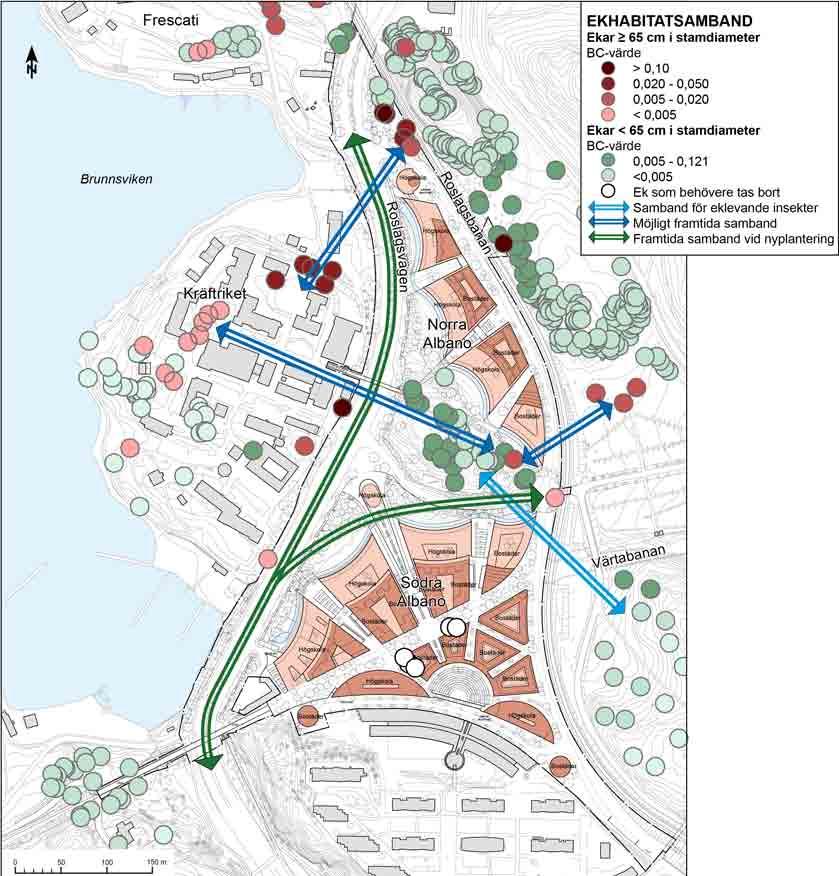 Figur 5.3.7 Ekarnas habitatnätverk baserat på enstaka träd.