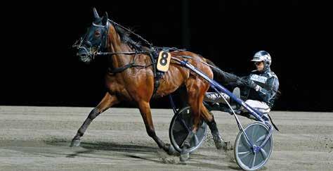 Inledde sin karriär med andraplats som tvååring. Efter galopp på Åy siktade oert Bergh på treårssäsong som inleddes med fyra galopper och godkänt kvallopp.