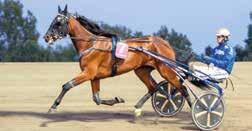oger Walmann Skötare: Sofia Wedin Körsv: Kneth Haugstad P HANKYPANKY UBYED Love You Pion /