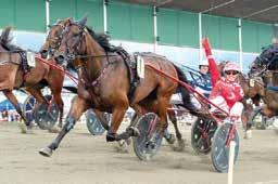 SVENSKT TAVDEBY GENOM TIDENA År Bana Segrare Kön Stam Vtid Distans Odds Uppfödare Ägare Körsv Tränare Förstapris 00 Jägersro Hilda Zonett sto Spotlite Loell Via de Vrie.