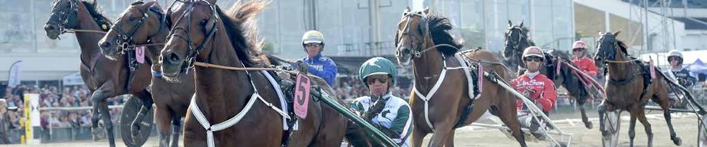TIPS Av BgtErik Larsson Heart of Steel Don t Mind Me Melly Drake 7 Master rowe ushmore Face Olle ols Thunder Peak Lopp analys.