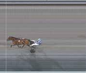 ,7 (,7) Untersteiner P. Staro McMillan,8 (,0) Adielsson E. Ike Schermer,8 (,9) Einge. Forfantone Am,9 (,9) Kihlström Ö Opl. Istanul Boko,0 (8,9). Great Winner, (,70). arozzo, (7,9).