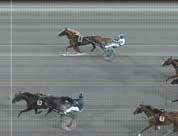 In Love Boko dug (7,). Struk: Deep Pockets. Segr. h år e. Muscle HillAmericandream A.T.. Äg. Berchtold Thomas & WeerBerchtold J. Uppf. Lugar onrad, m fl. Trän. Lugar onrad, Bltarp. längder. Odds.