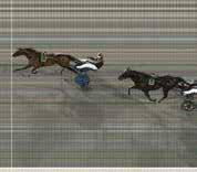 Äg. Olof Brodin (hartering) AB,Solltuna. Uppf. Gloal Farm AB, Nacka Strand. Trän. Båth Svante, Upplands Väsy. längd. Odds. Vinnare:,. Plats:,8,9,0. Tvilling: (/8),7. Trio: (8),. Lopp 9.