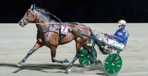 ,/0a i fjärde start när han vann Gay Noons Lopp på Solvalla l det Svskt Travkriterium där ampo Bahia vann sin uttagning m fick ge sig för Inti Boko i final.