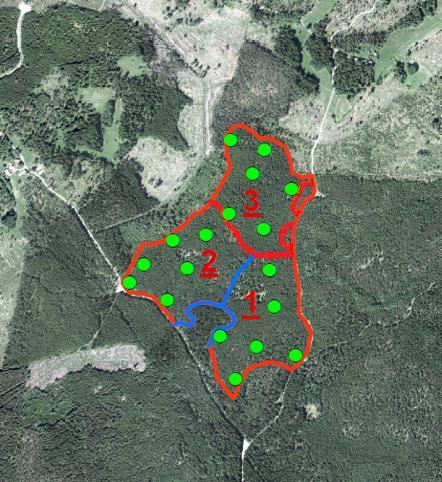 Beståndets egenskaper inventerades genom 6 stycken slumpvis utlagda cirkelprovytor med radien 5,64 meter i varje försöksyta.