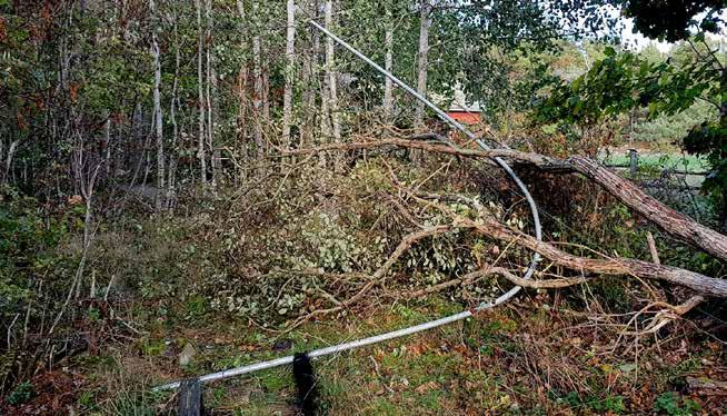 Ett större träd nära fyrhissen blåste omkull och drog med norra hissens norra stolpe i fallet.