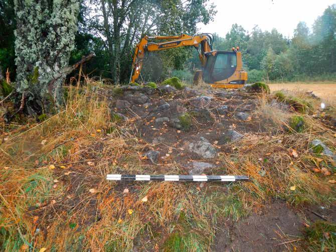 Anläggning 225 Tolkning Stensättning. (fig. 6) Yttre formelement Rundad högliknande stensättning, 7,5 x 7 meter och 0,5 m hög.