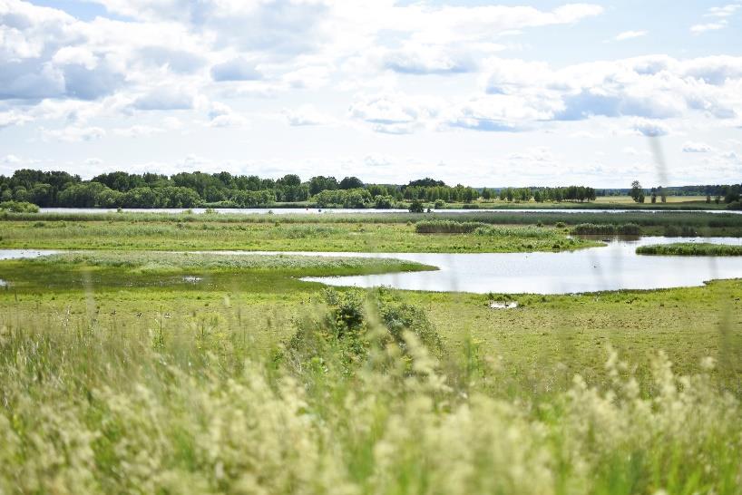 Till exempel Kråkbacken, Nyckelbergsparken och Norsa hagar.