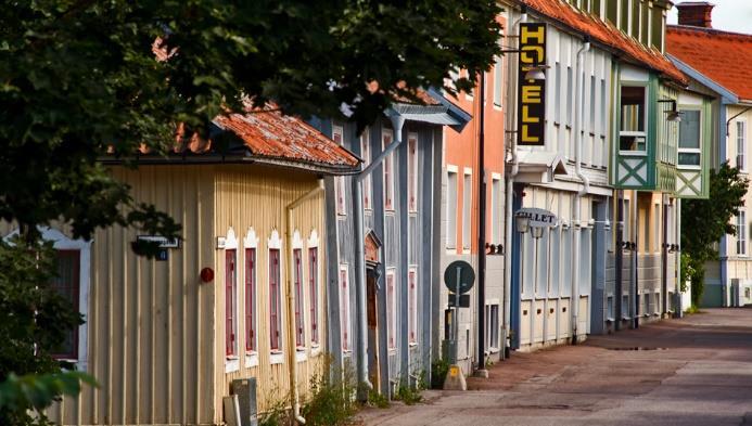 "Bor gärna i mindre tät bebyggelse i närheten av naturen