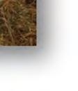 Det går faktiskt