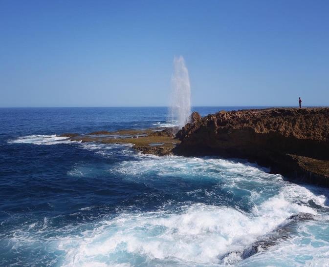 Det finns många andra aktiviteter att göra i området, vandring i exempelvis Morialta Falls, vintur till välkända Barossa Valley eller Adelaide Hills etc.