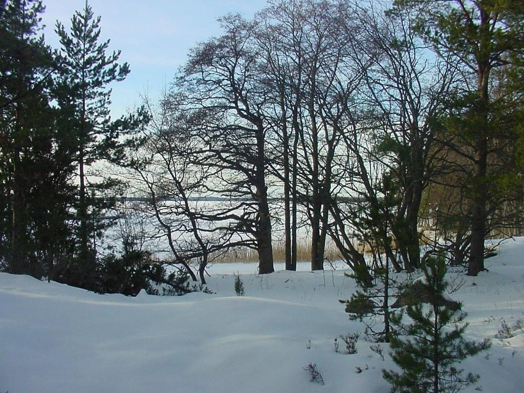 KYRKSLÄTT KOMMUN 01.04.2018 PLANLÄGGNINGS- OCH TRAFIKSERVICETJÄNSTERNA EDESHOLMEN STRANDDETALJPLAN Stranddetaljplanen berör lägenheten Edisholm RN:o 1:45 i Berstad by i Kyrkslätt kommun.