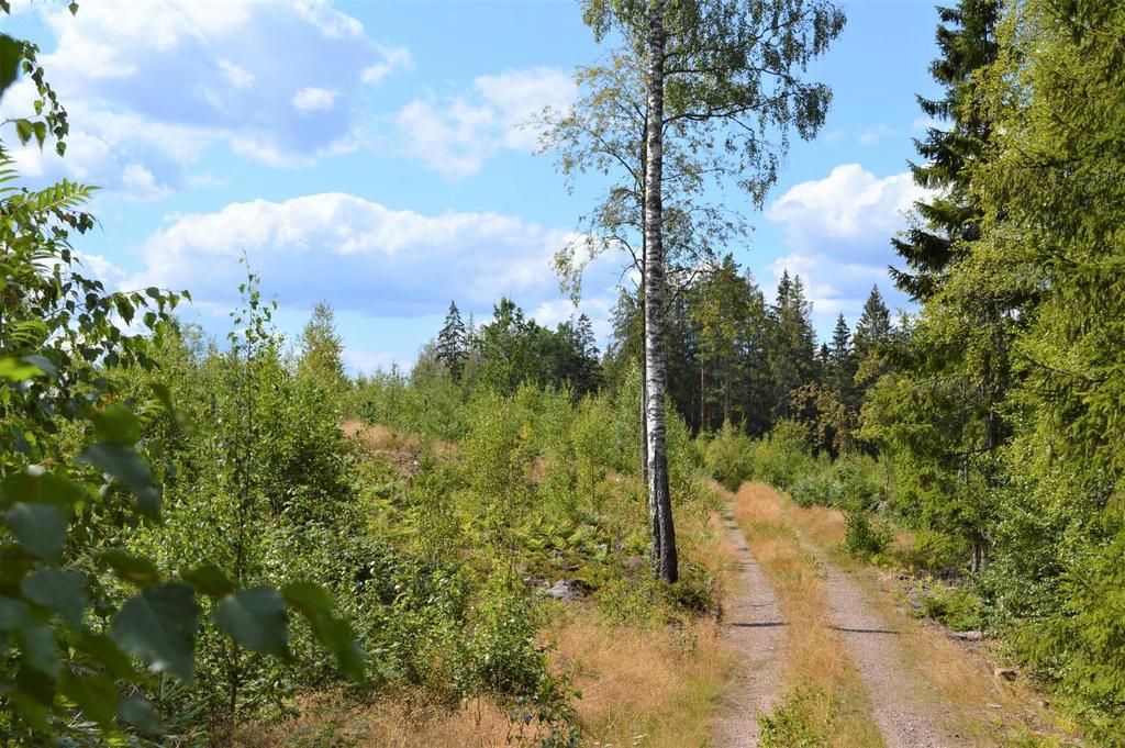 Om Skog & Lantbruk Skog & Lantbruk är ett rådgivningsföretag som arbetar med följande tjänster inom jord och skog: - Fastighetsförmedling - Generationsskifte -