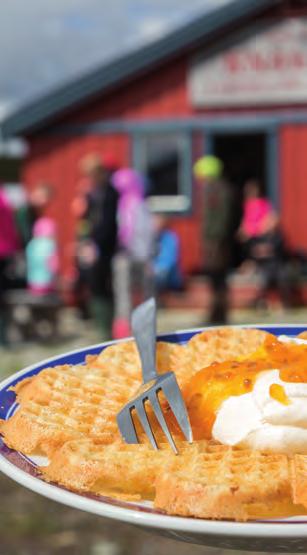 gluten och laktosfria - med