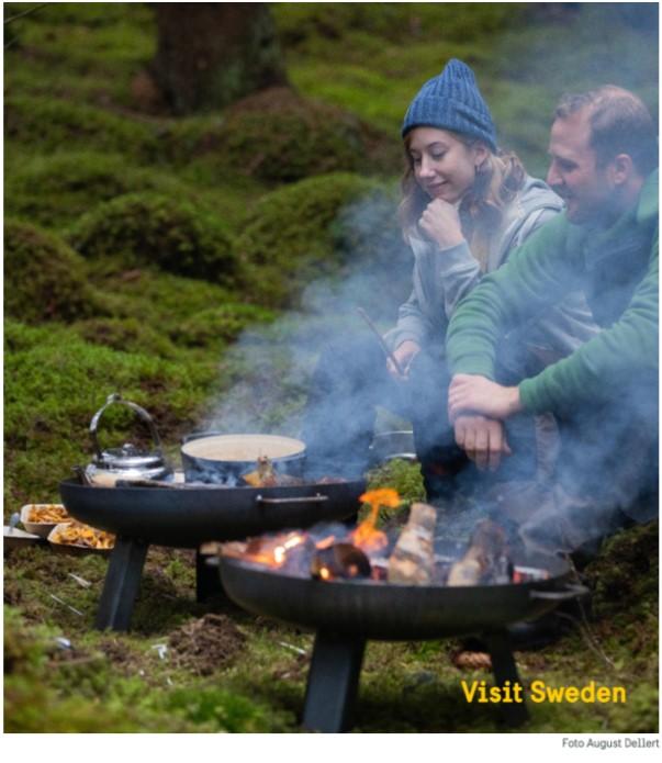 Med naturen som krydda Målgruppen uppfattar svenskar som välmående med en naturnära livsstil. De upplevelser som erbjuds här är annorlunda men inte alltför ansträngande eller äventyrliga.