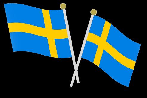 Människor har bott i Sverige sedan sista istiden tog slut (ca. 12000 f. kr.).