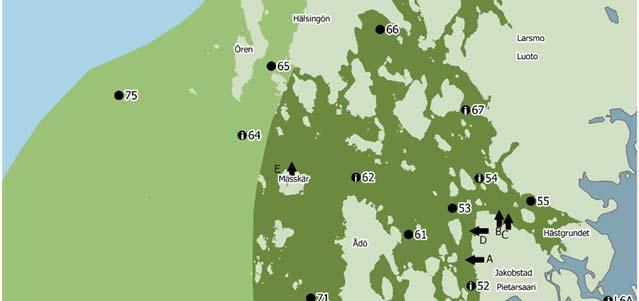 Det måttligt eutrofa området sträckte sig från fastlandet ut till linjen Fäboda Mässkär Hälsingön. Punkterna P64, P65, P75 och P73 hörde till klassen på väg att eutrofieras. Figur 17.