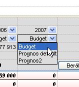 I kolumn 6 kan man välja budget eller prognosalternativ.