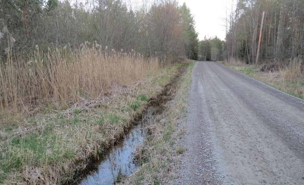 Beskrivning av besökta lokaler Nedan följer en kort beskrivning och bild av de två lokaler där mindre vattensalamander återfanns. För beskrivningar av alla de besökta lokalerna, se Bilaga 1.