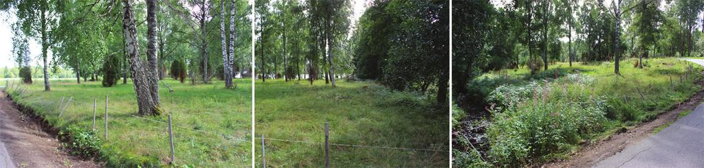 I största möjliga utsträckning bör dagvattenfördröjningen för gatumark förläggas till allmän platsmark.