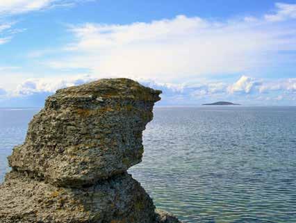 Bild 7: Det uppfräschade kalkstensfossilet Gösta, ursprungligen från Gotland. Bild 8: En av Ölands 4 m höga raukar i Byrum (enda platsen på Öland) med Blå Jungfrun i bakgrunden. FOTO: GÖSTA TORELD.