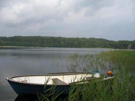 Deromesjön (634762 12916) Sjöbeskrivning Vegetationen i sjön är måttlig och domineras av bladvass och näckrosor. Även nate, flotagräs, starr och säv förekommer.