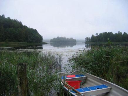 Yasjön (633823 1331) Sjöbeskrivning Vegetationen i sjön är generellt sett måttlig men riklig i vissa vikar. Säv, bladvass och näckrosor dominerar växtligheten men även starr och nate förekommer.