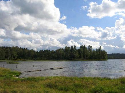 Brokaredssjön (634476 132439) Sjöbeskrivning Vegetationen i sjön är måttlig och domineras av bladvass, säv och näckrosor.