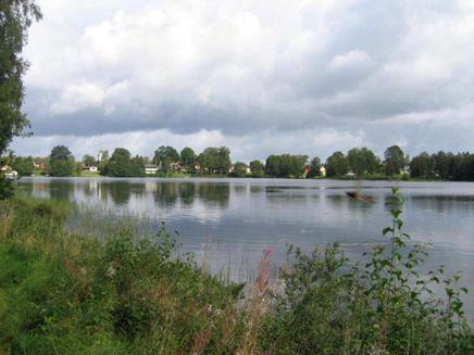 Sjögårdssjön (631758 133428) Sjöbeskrivning Vegetationen i sjön är måttlig och domineras av näckrosor, starr och nate.
