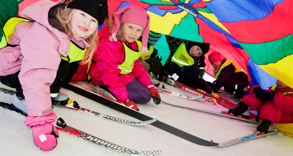 Idrotts- och motionstjänster Idrottslagen (390/2015) Anordnande av idrotts- och motionstjänster samt hälsofrämjande motion för olika målgrupper Stödjande av medborgar- och hobbyverksamhet Byggande