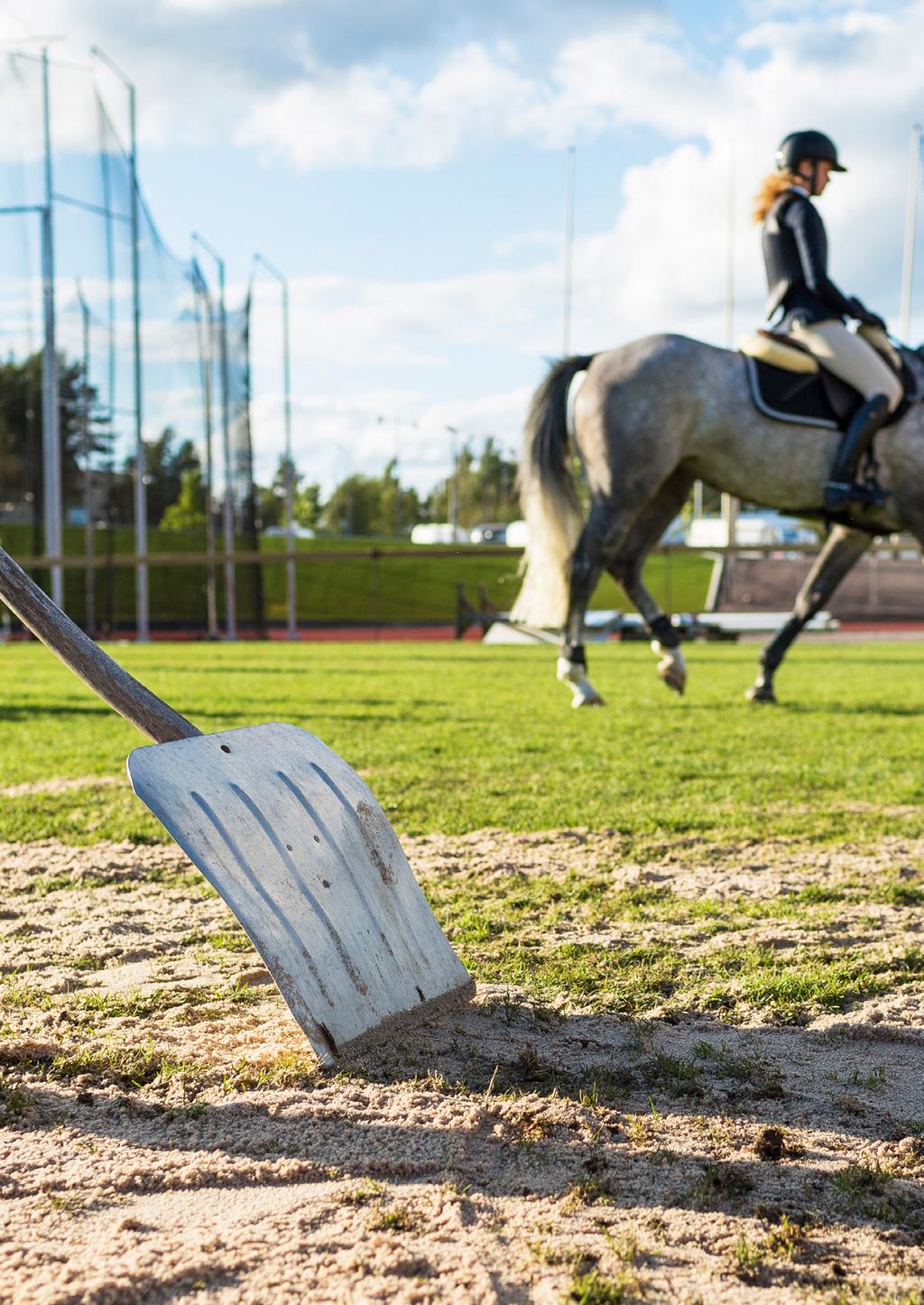 Goda idrottsliga utvecklingsmiljöer Olika studier har gjorts kring vad som kännetecknar idrottsmiljöer som dels regelbundet fostrar framgångsrika utövare, dels är duktiga på att behålla ungdomar i