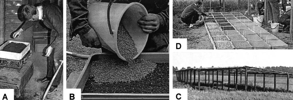 Inges modellstudier av såbäddar Modellförsök i lådor Systematiska försök med bl.