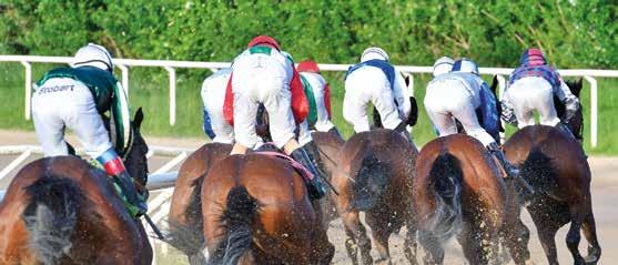 00 Dirt-track.9 LD- V5- gersro För -åriga och äldre hästar. Vikt: Aktuellt handicaptal -åriga minus,5 kg, äldre 8 kg..000 kr 0.000-5.000-7.00-.800-.