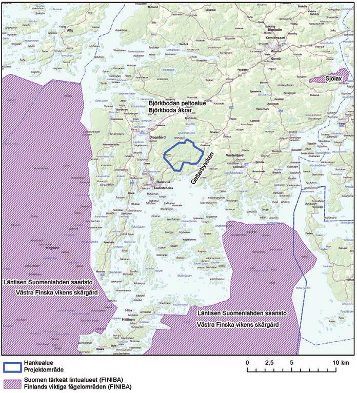 Lokala skyddade och hotade arter Fiskgjuse Enligt uppgifter från ringmärkningsbyrån finns 17 fiskgjusbon inom tjugo kilometers radie från projektområdet.