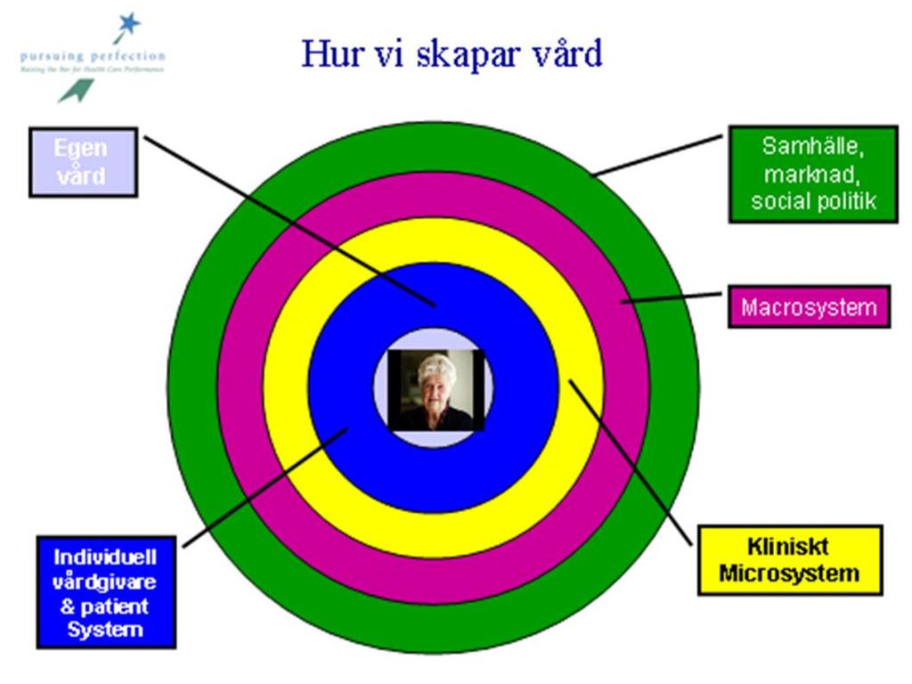 Microsystemet lär och förbättrar Inforamtion technology Senior doctor Resident