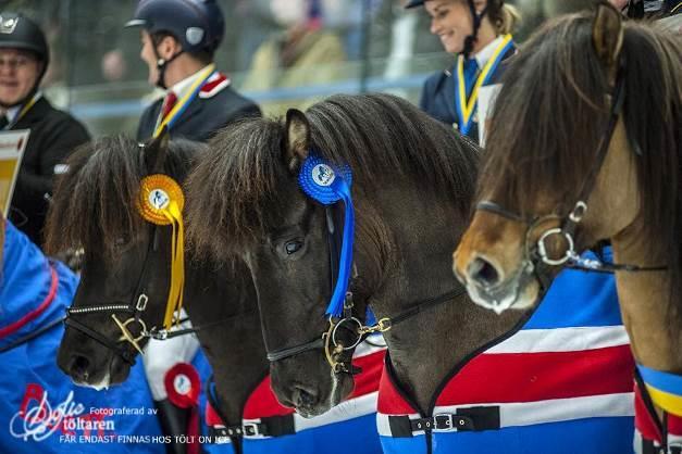 Eventet Tölt on Ice (TOI) 2016-04-01 -- 02 Det blev favorit i repris när Jóhann Rúnar Skúlason och Hnokki frá Fellskoti återvände till Tölt on Ice i Kungsbacka ishall för att försvara sin seger från