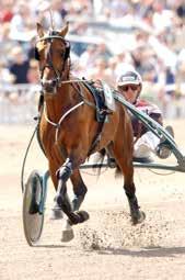 99 blev Queen L. den första svenskfödda häst att vinna världens största travlopp Prix d Amérique på Vincennes.