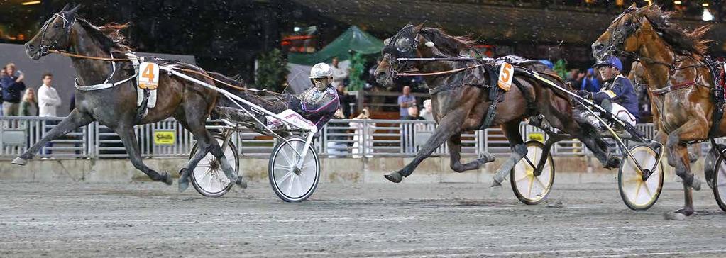 TIPS Av Solvalla Who s Who tippas etta i V. BLIR DET HEMMASEGER I JUBILEUMSPOKALEN?