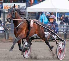 R. Segervan fux som utvecklats till en topphäst. Imponerade under elitloppshelgen och vann näst senast i fin stil på Vincennes.