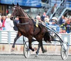 VINCERO GAR Slog igenom med dunder och brak när han vann Kriteriet efter en matchning som numera bär hans tränares namn några försiktiga starter i enklare omgivning och sedan direkt in i hetluften.