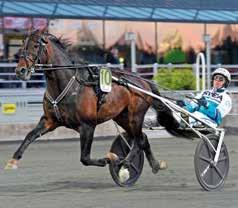 Meriter: Vinnare av uttagninslopp till Finska Derbyt 08, Finska Derbyt 08, SuurHollola Försök 09, SuurHollola Final 09. Ståtar med tio raka segrar innan senaste galoppen. Stam: Valack e.